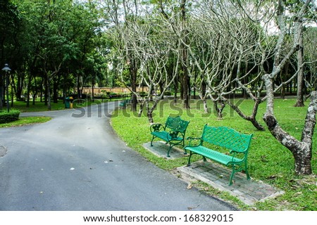 Bench in the garden park 