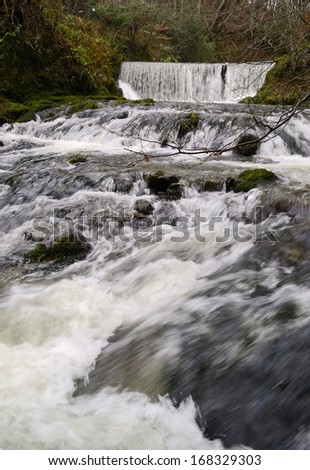 Water cascading down Northern English woods hillside at Ambleside, England in the Lake District.