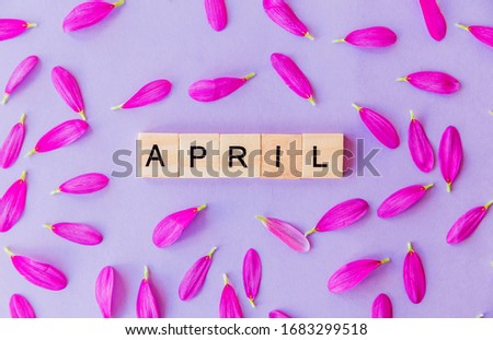 Word april made up of wooden blocks and flower petals on purple background