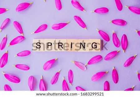 The word spring composed of wooden blocks and flower petals on a purple background