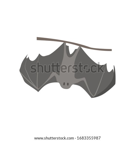 Cartoon bat. Cute Cartoon bat, Vector illustration on a white background. Drawing for children.