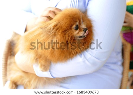 
Woman holding a brown dog