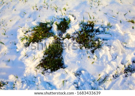 
snow fell in spring covered green grass unexpected natural phenomenon spring snow angel