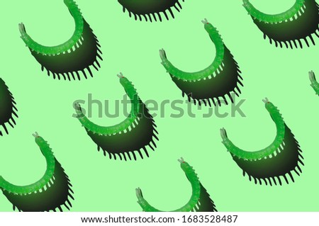 Centipede. Insect. Green rubber toy. Hard shadows.