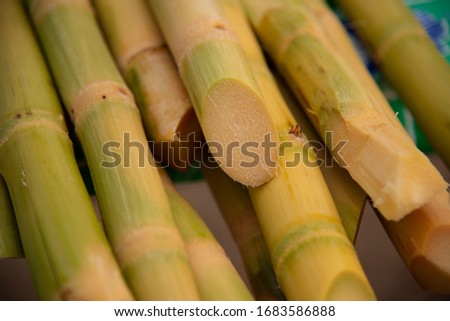 This is the picture of the sugar cane that is prepared to make sugar.