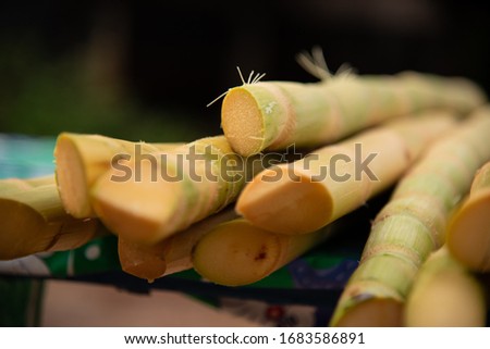 This is the picture of the sugar cane that is prepared to make sugar.