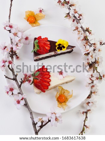 Flowering twigs of fruit trees and two pieces of cake arranged on a white plate