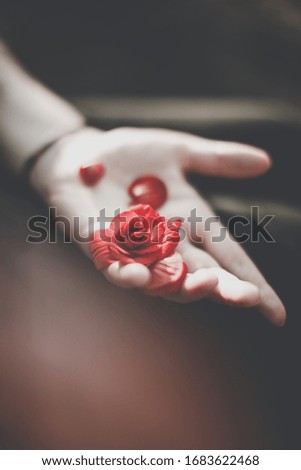 Hand holding red gardenia flowers on dark soft background, close up