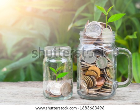 Money coin in glass with tree nature sunlight background. Business Finance and money saving concept, investment and retirement or education for future
