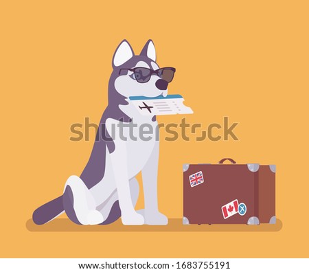 Dog travel, cute pet with airline ticket and travelling bag. Puppy in sunglasses waiting for flight abroad, support or therapy animal for traveler on airplanes. Vector flat style cartoon illustration