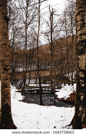 Winter view of Yedigoller (Seven Lakes) National Park in Bolu, Turkey. Landscape view with a river going through the snowy forest park and a small wooden bridge on it.