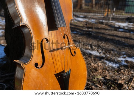 Cello on the nature in winter