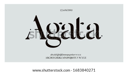 Elegant awesome alphabet letters font and number. Classic Lettering Minimal Fashion Designs. Typography fonts regular uppercase and lowercase. vector illustration Royalty-Free Stock Photo #1683840271