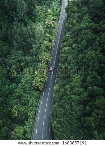 Drone/Aerial shot of a jungle road with lonely car on La Réunion