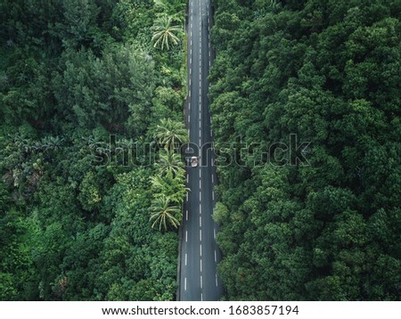 Drone/Aerial shot of a jungle road with lonely car on La Réunion