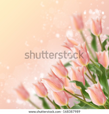 Postcard with fresh flowers tulips and empty place for text. Abstract background for design.