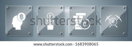 Set Crossed pickaxe, Cryptocurrency coin Bitcoin, Bitcoin plant in the pot and Bitcoin think. Square glass panels. Vector