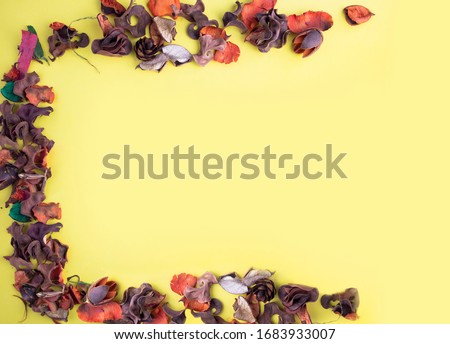 Composition top view of dry orange autumn leaves. frame, yellow background