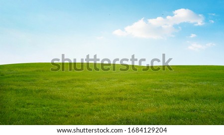 field on a background of the blue sky Royalty-Free Stock Photo #1684129204