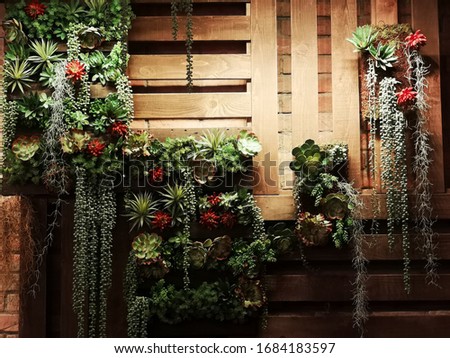 Vertical garden with lush greenery plants