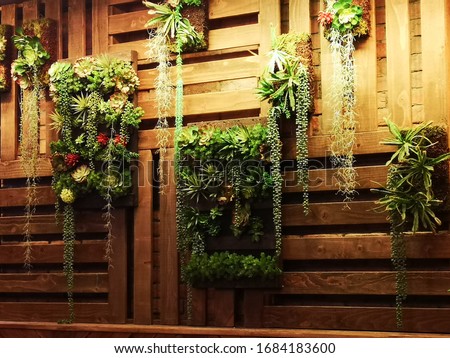 Vertical garden with lush greenery plants