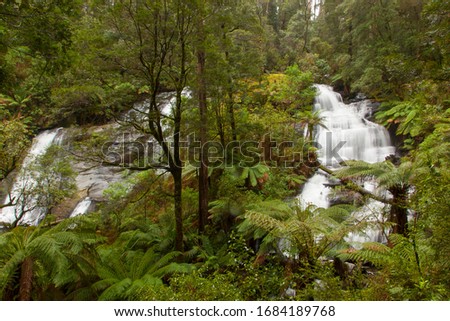 The beautiful Triplet Falls located in the lush rain forest in the Great Otway National Park in South West Victoria, Australia.