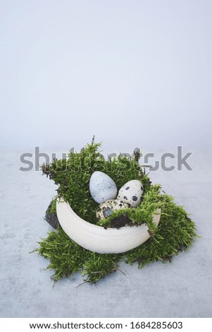       
composition in the forest style - a wooden box with moss fragments and quail eggs on a gray background. Copy space                    