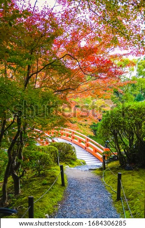 Bright red and orange Japanese momiji maple leaves at Daigoji temple in Kyoto, Japan