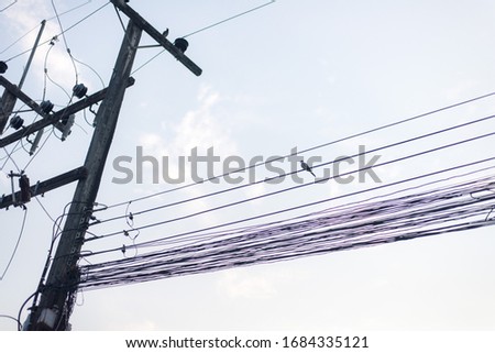 Several electrical wires and one cable, with birds hanging on the wires in the sky background