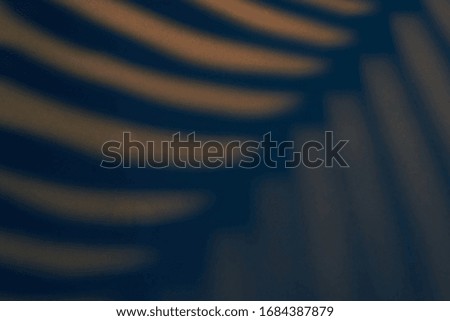 Beautiful monstera leaves blue shadow colored background in neon light for the text