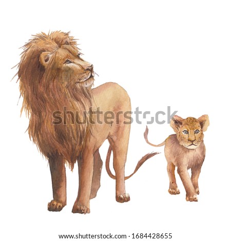 Watercolor lion family. Wild animals isolated on white background. African predator clip art