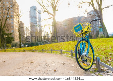 Blue bicycle in the park, Frankfurt, Germany
