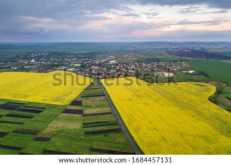 Rural landscape on spring or summer day. Aerial view of green, plowed and blooming fields, house roofs on sunny dawn. Drone photography.