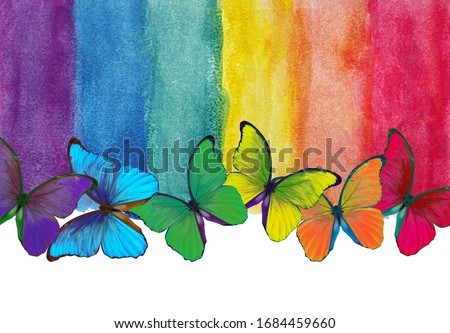 Colors of rainbow. Photo watercolor paper texture. Abstract watercolor background. Wet watercolor paper texture background. bright colorful morpho butterflies. multicolored watercolor stains. 