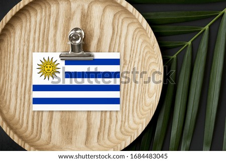 Uruguay flag tagged on wooden plate. Tropical palm leaves monstera on background. Minimal national concept.