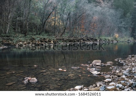 Mountain river in autumn time. Rocky shore. Colorful forest landscape