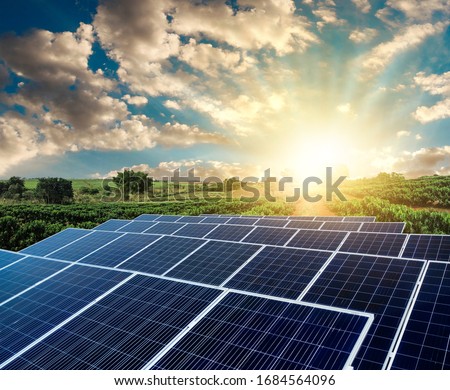 Sunset over Solar energy Farm plant. Royalty-Free Stock Photo #1684564096