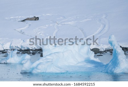 Antarctic landscape with glaciers, icebergs, mountains