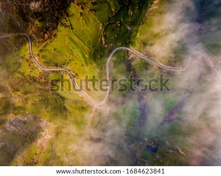 Forest Sunrise Green Glades Turn Path  Fog Aerial Photography Top dow