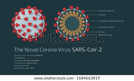 Detailed flat vector illustration of the structure of The Novel Corona Virus SARS-CoV-2, the virus causing COVID-19. Feel free to also use only parts of the illustration. Royalty-Free Stock Photo #1684663819