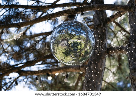 Disco ball on a tree on a sunny day.