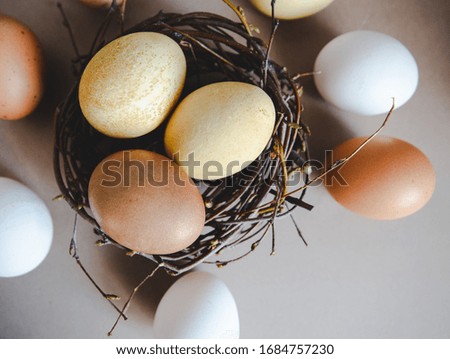 
eco-painted easter eggs in the nest
