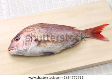 japanese red sea bream, Tai, Madai snapper, pagrus major isolated on cutting board Royalty-Free Stock Photo #1684772791