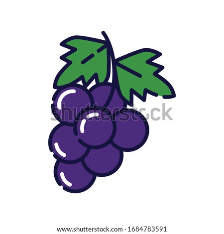 Grape filled-outline simple icon in white isolated background. Fruit clip art.