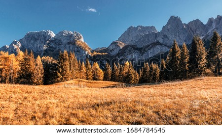 Awesome alpine highlands in sunny day. Wonderful autumn landscape, cenic image of fairy-tale woodland in sunlit. picture of wild area. Dolomites alps. Italy