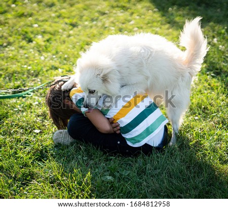 Boy playing with little white dog