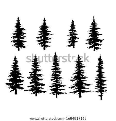 vector spruce tree, ink plant sketch, hand drawing, black silhouette  Royalty-Free Stock Photo #1684819168