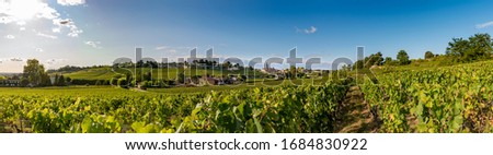 Panorama of Saint Emilion in summer Royalty-Free Stock Photo #1684830922