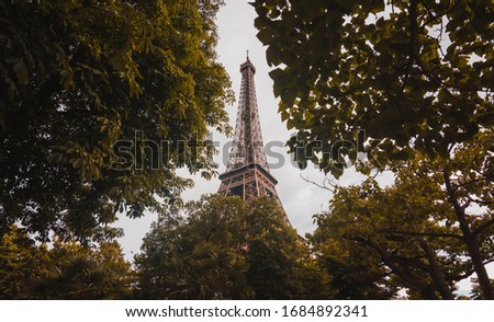 View of the eiffel tower among trees