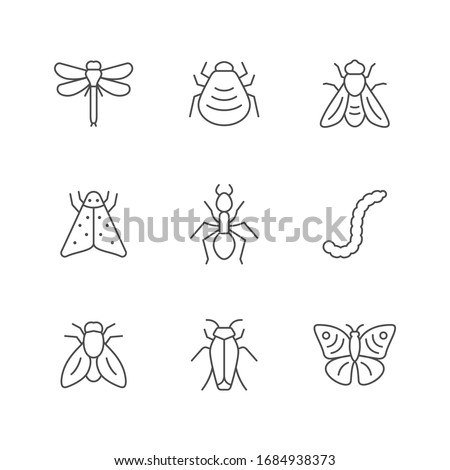 Set line icons of insect
